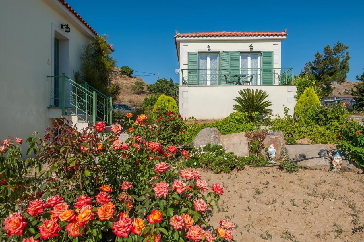 Ampeloessa Village Kornos Esterno foto