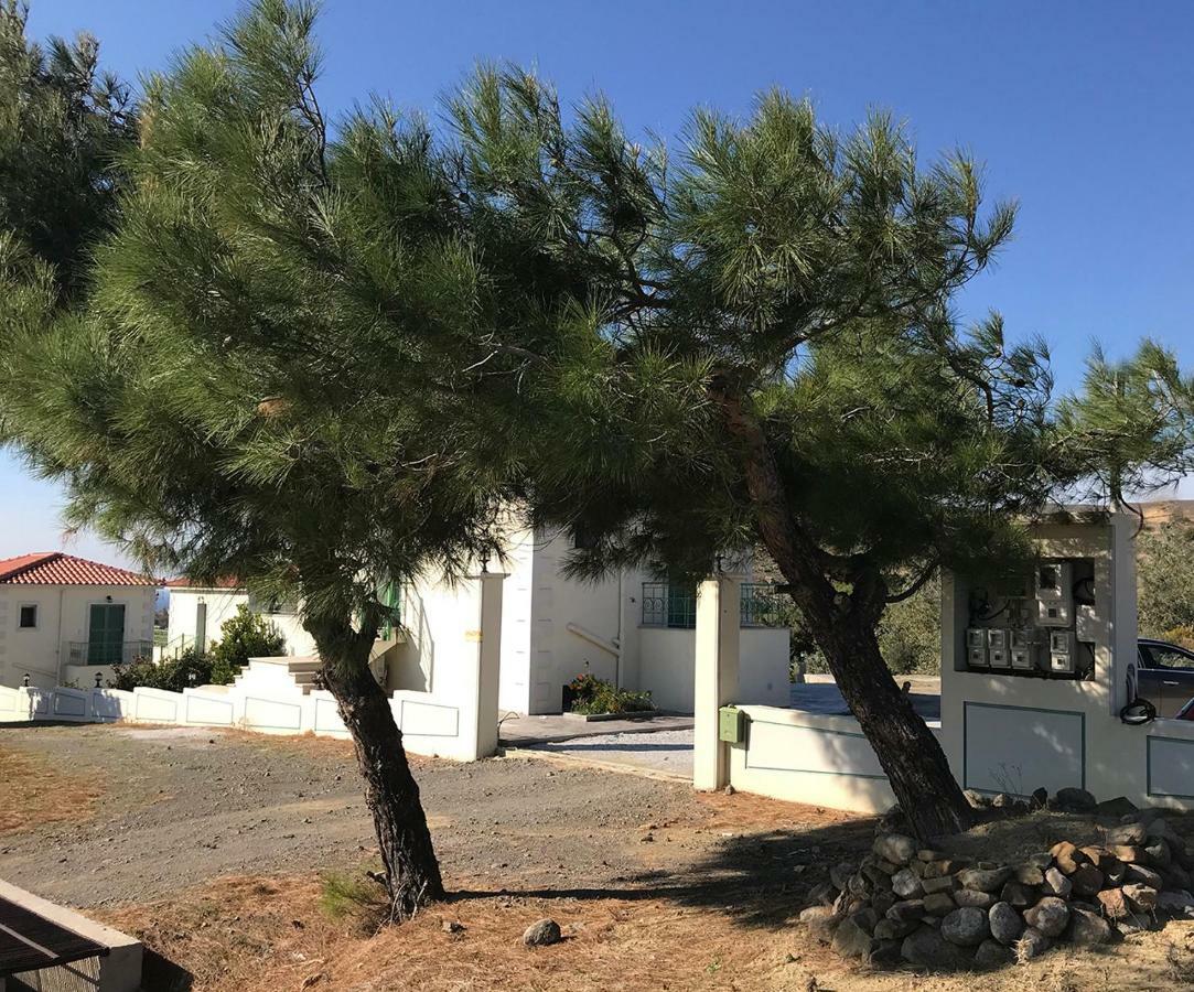 Ampeloessa Village Kornos Esterno foto